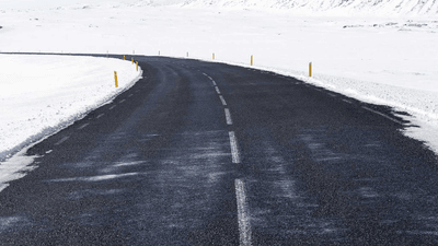 Bamboo - professional stock photography