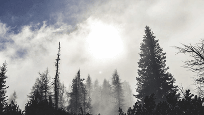 Bicycle - professional stock photography