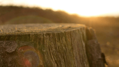 Bicycle - professional stock photography