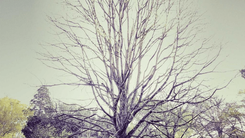 Compost - professional stock photography