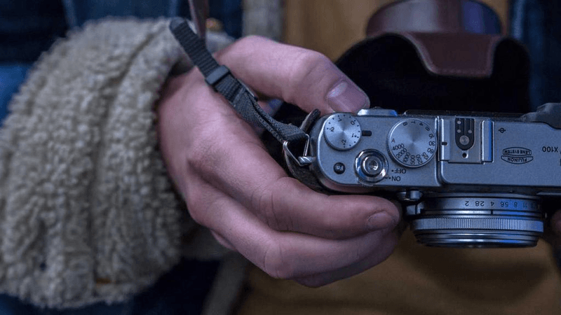 Conservation - professional stock photography