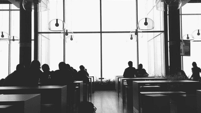 Forest - professional stock photography