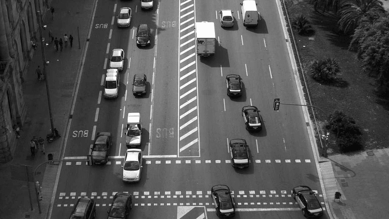 Forest - professional stock photography