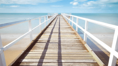 Garden - professional stock photography