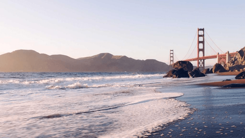 Garden - professional stock photography