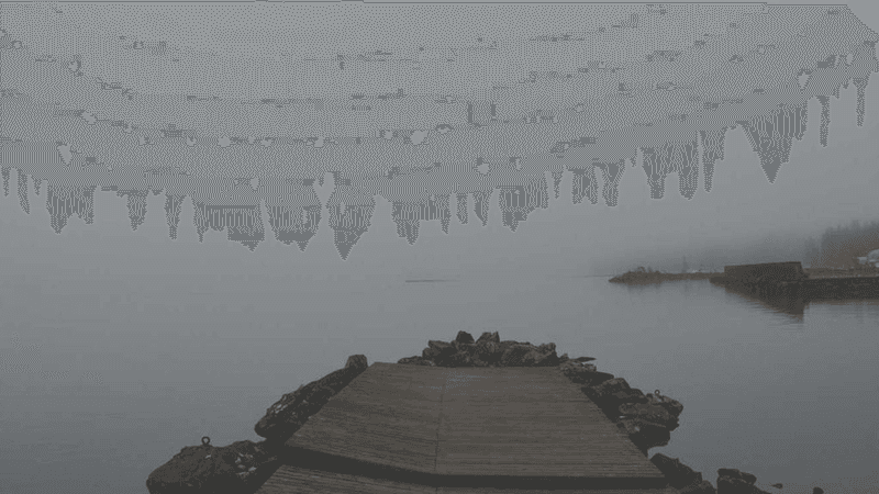 Garden - professional stock photography