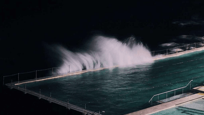 Garden - professional stock photography