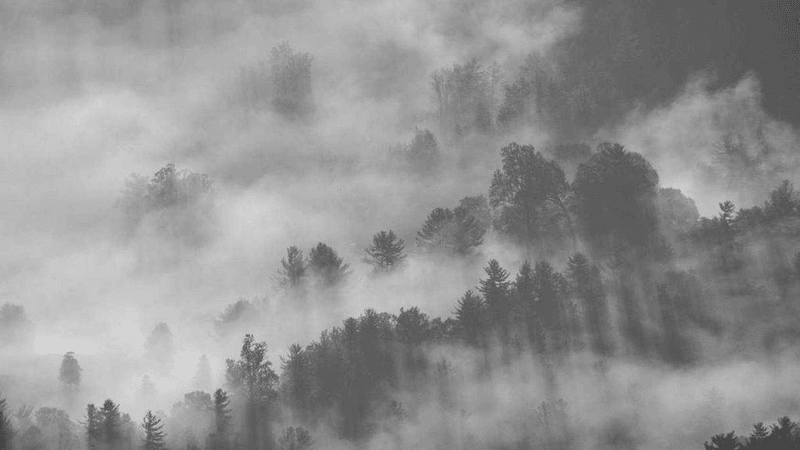 Nature - professional stock photography