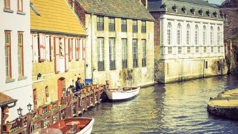 Nature - professional stock photography