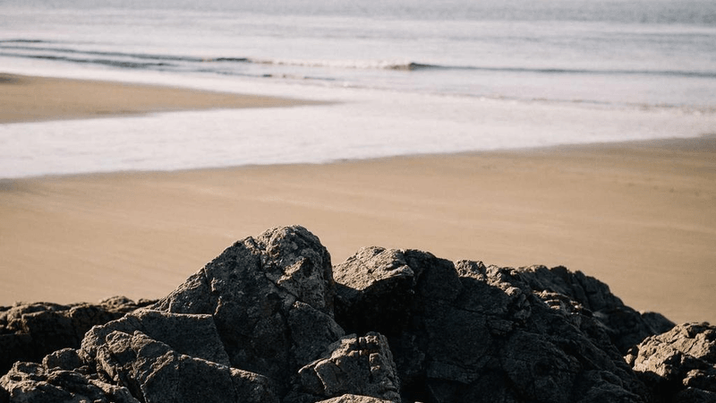 Organic - professional stock photography