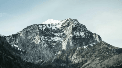 Organic - professional stock photography