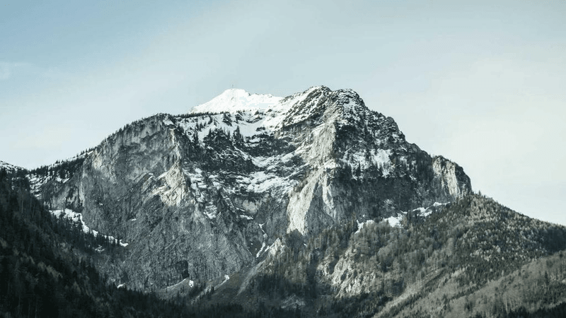 Organic - professional stock photography