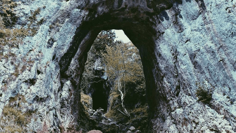 Recycle - professional stock photography