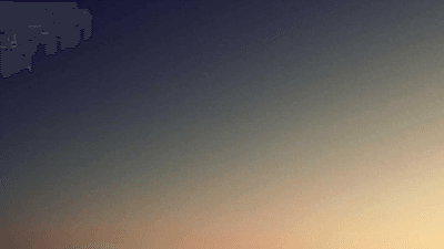 Tree - professional stock photography