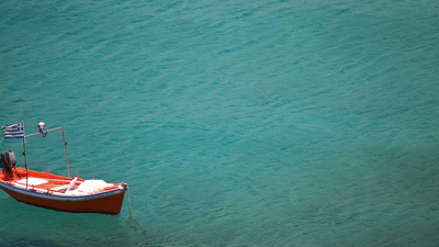 Tree - professional stock photography